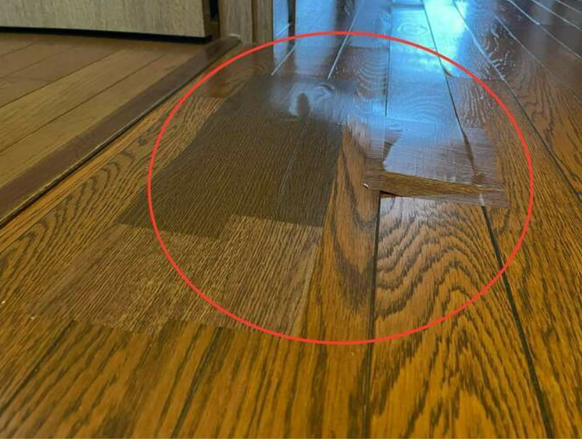 <br />
<b>Warning</b>:  Trying to access array offset on false in <b>/home/xs529929/mansion-doctor.jp/public_html/wp-content/themes/borore/index.php</b> on line <b>100</b><br />
