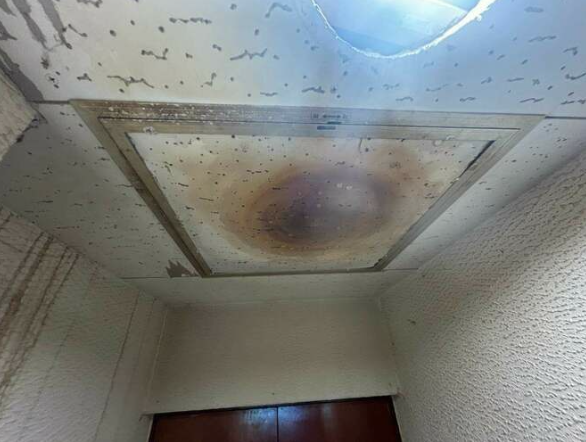 <br />
<b>Warning</b>:  Trying to access array offset on false in <b>/home/xs529929/mansion-doctor.jp/public_html/wp-content/themes/borore/index.php</b> on line <b>100</b><br />
