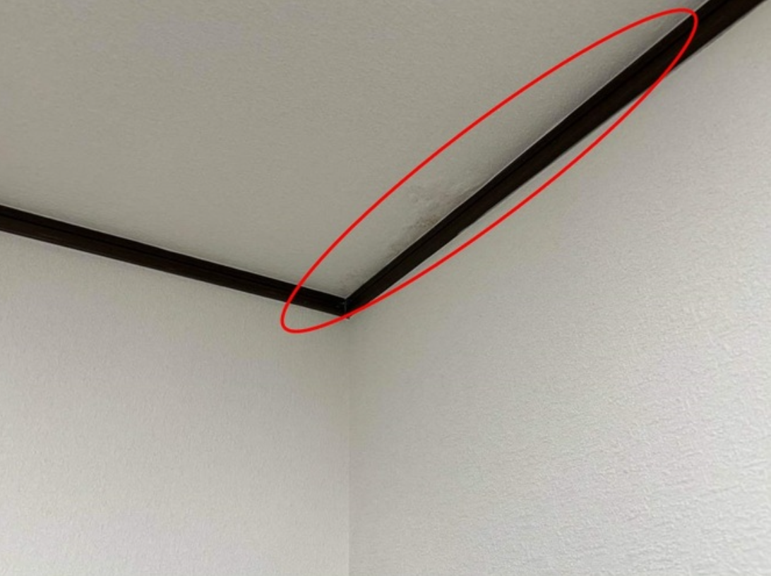 <br />
<b>Warning</b>:  Trying to access array offset on false in <b>/home/xs529929/mansion-doctor.jp/public_html/wp-content/themes/borore/index.php</b> on line <b>100</b><br />
